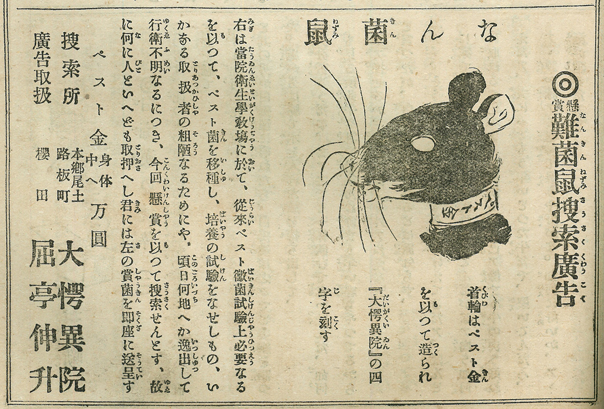 「なん菌鼠（なんきんねずみ）」『團團珍聞（まるまるちんぶん）』 / “Nankin nezumi” from <i>Marumaru Chimbun</i>