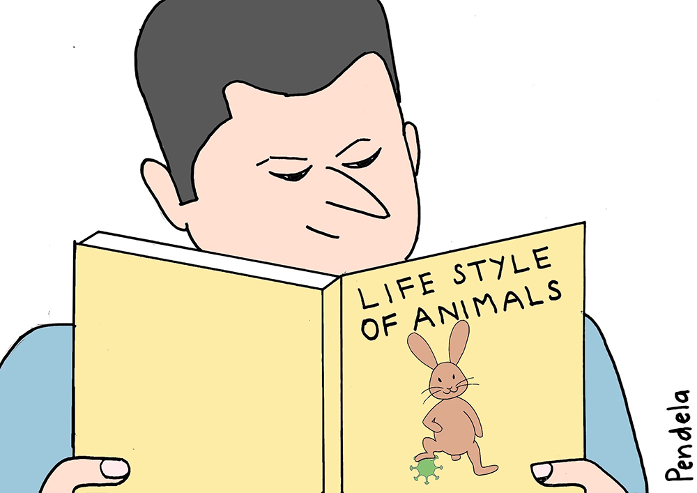 ［動物の生態］ / Life Style of Animals