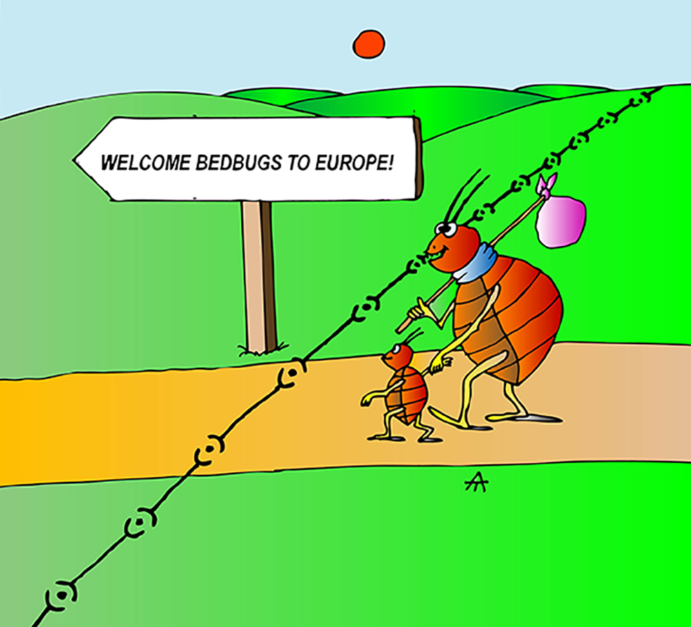 Bedbugs in Europe