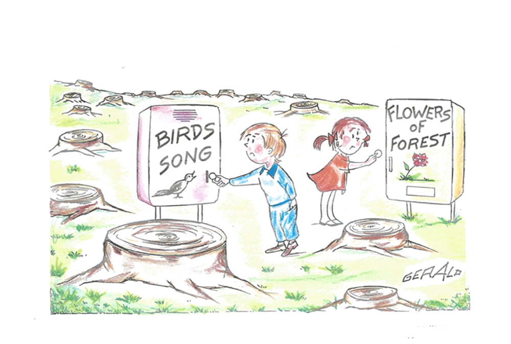 Birds Song