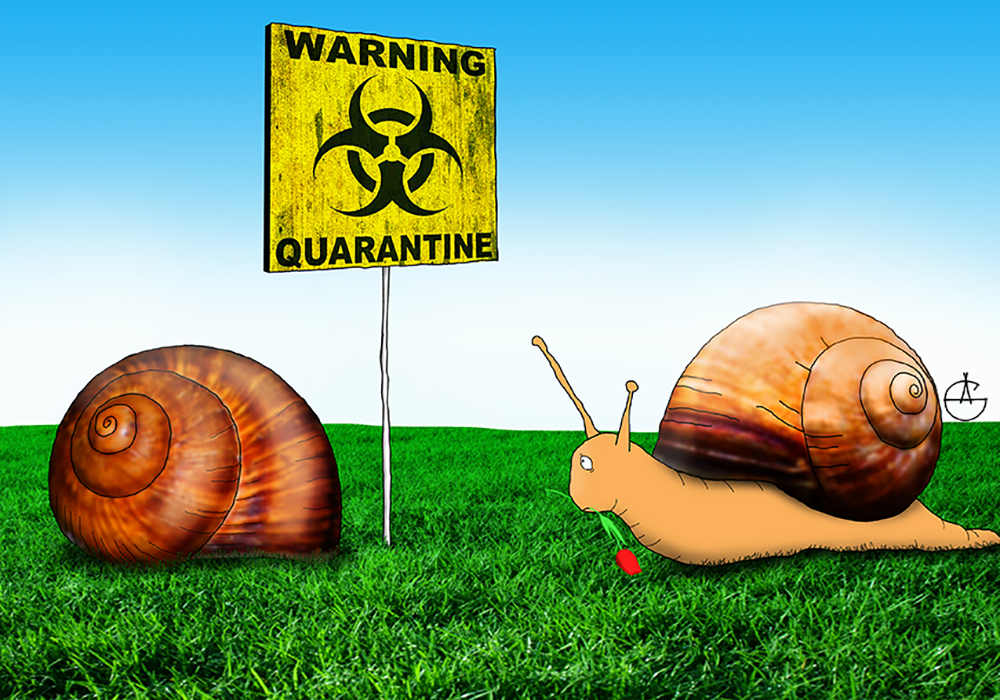 Quarantine