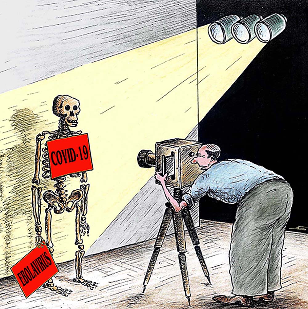 Skeleton