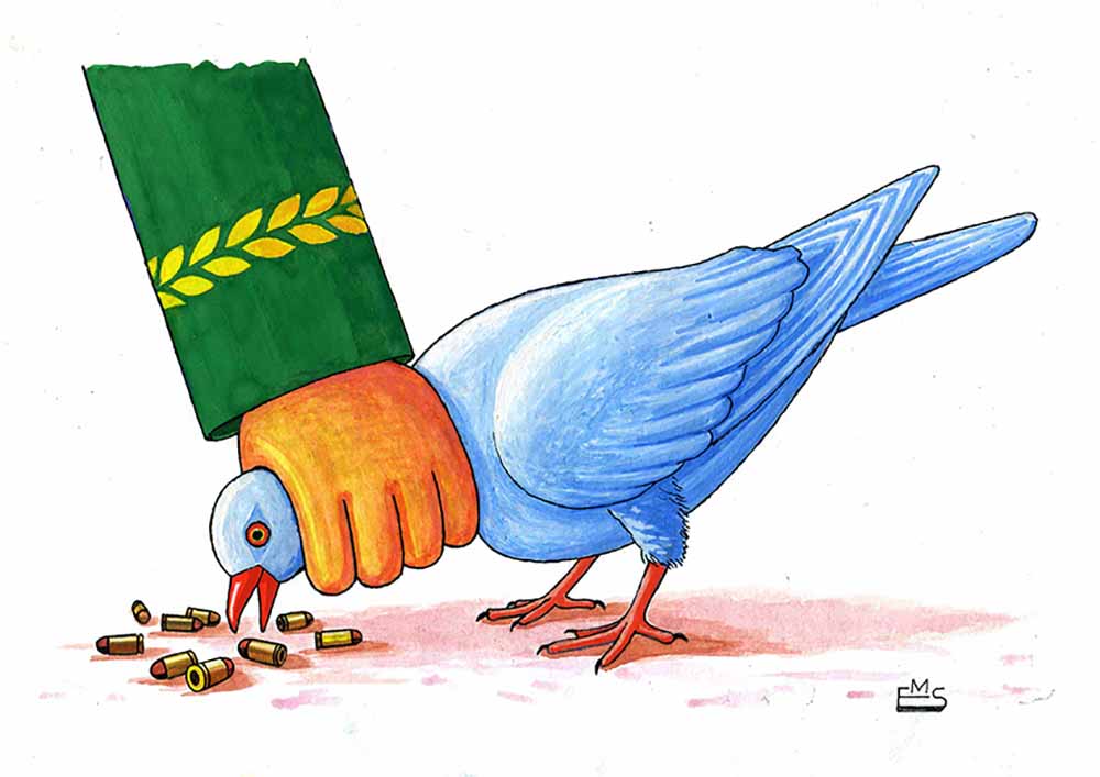 Pigeon