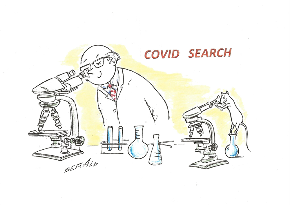 Covid Search